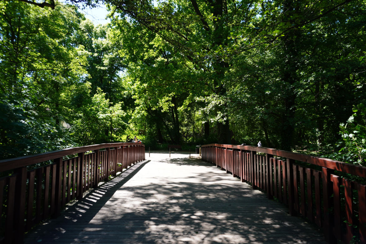 Park Sołacki w maju 2024