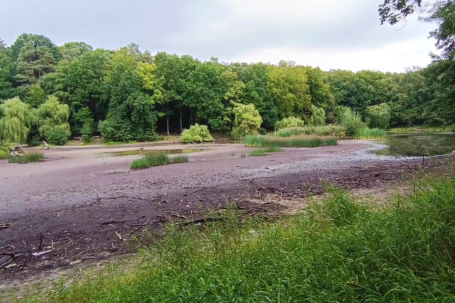 Wyschnięty Staw Wędkarski w Szczecinie