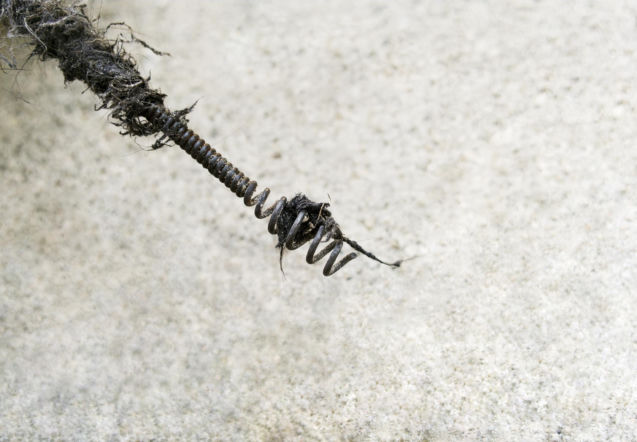 Sprężyna, udrażnianie rur