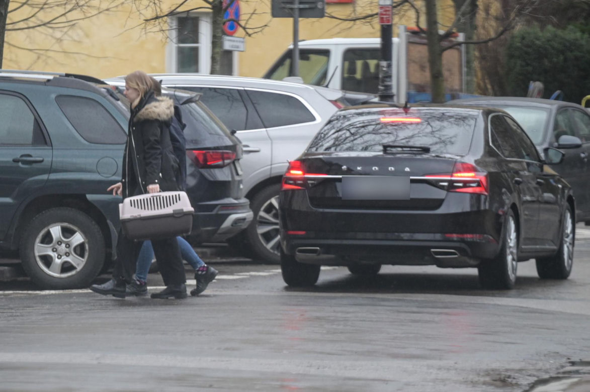 Limuzyną SOP zawiozła kota do weterynarza