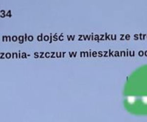 Poroniłam przez szczura