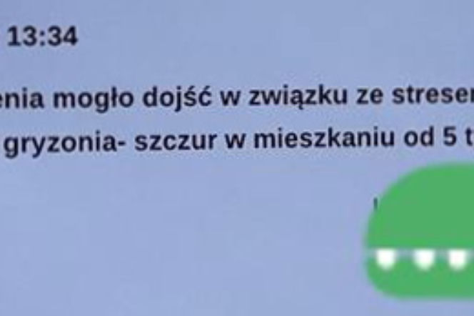 Poroniłam przez szczura