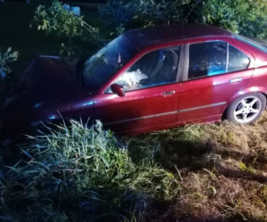 Pies wyskoczył wprost pod koła BMW. Matka z dziećmi zjechała do rowu [ZDJĘCIA]