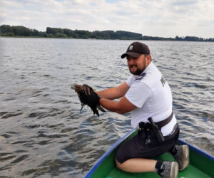 Nietypowa interwencja policjantów z Katowic. Ratowali tonącego drapieżnika