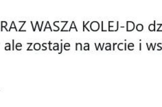 Koniec heroizmu Dody? Artystka mówi dość po dramatycznych wizytach w schroniskach