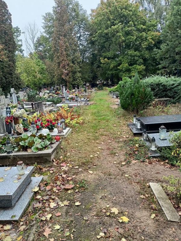 Cmentarz Junikowo Poznań