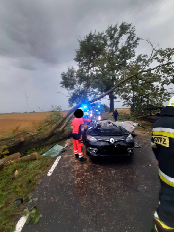 Drzewo runęło na auto z rodziną pod Świeciem! 47-latek nie miał szans tego przeżyć [ZDJĘCIA]