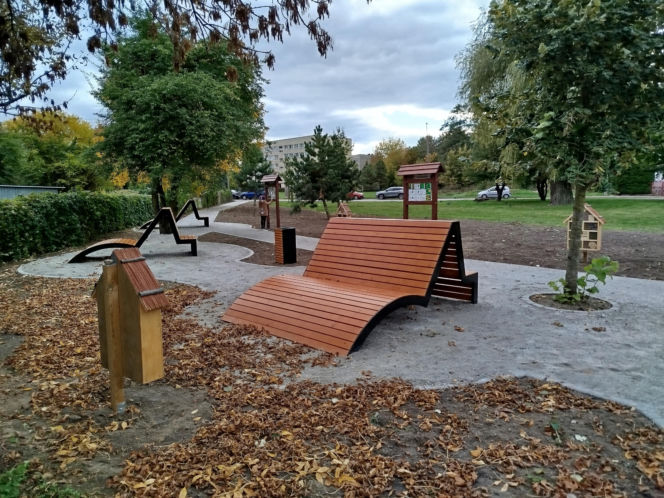 Park kieszonkowy przy ul. Żytniej w Siedlcach