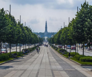 QUIZ: W którym województwie leży to miasto?