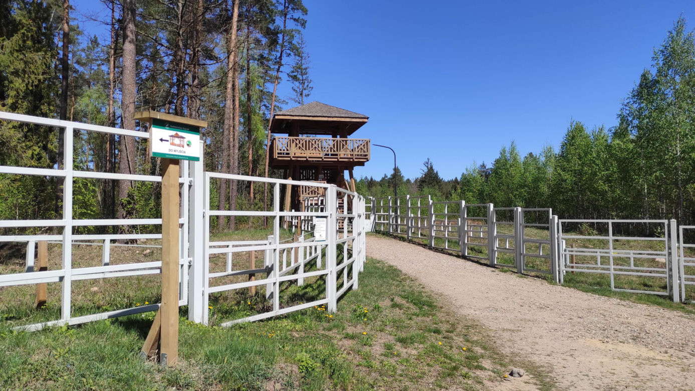 Zagroda Pokazowa Żubrów w Kopnej Górze