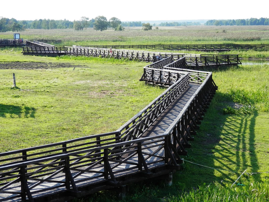 Kładka Śliwno-Waniewo