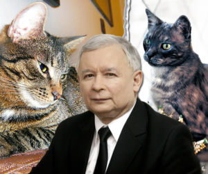 Alik, Fiona i Kaczyński