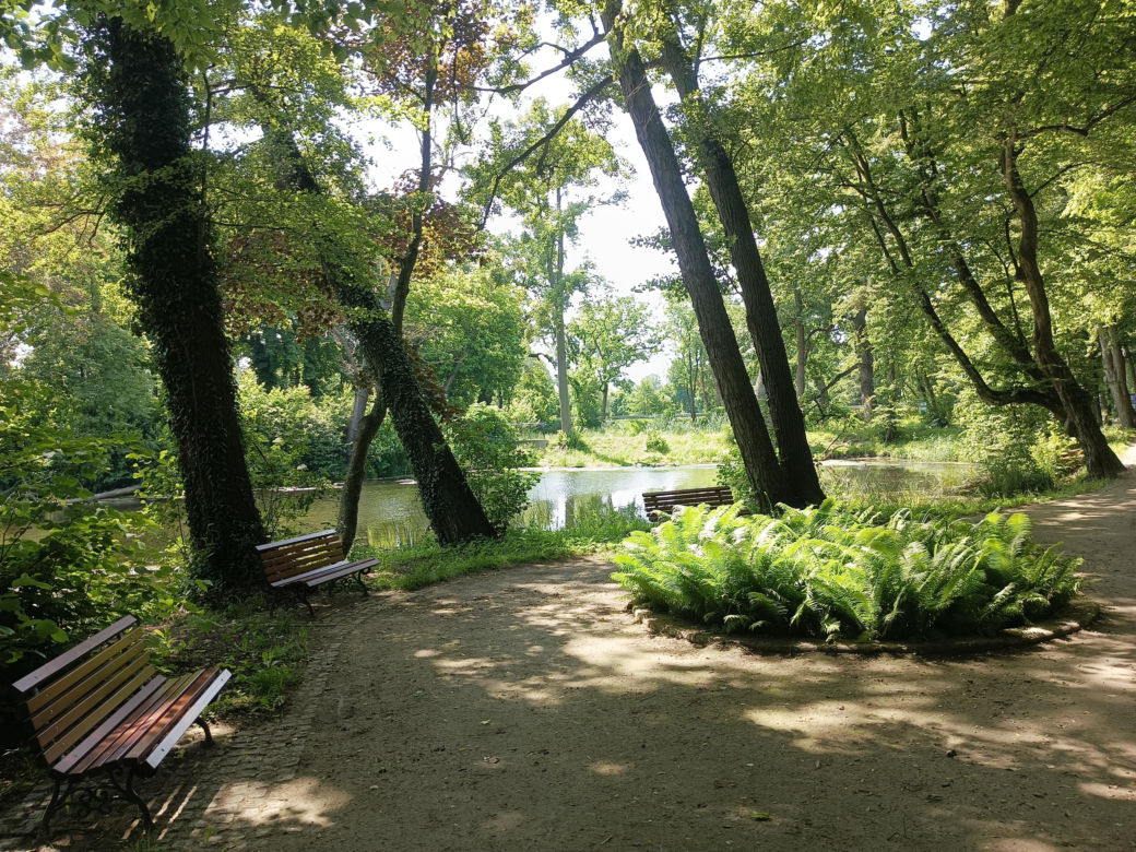 Parki podworskie w powiecie gdańskim