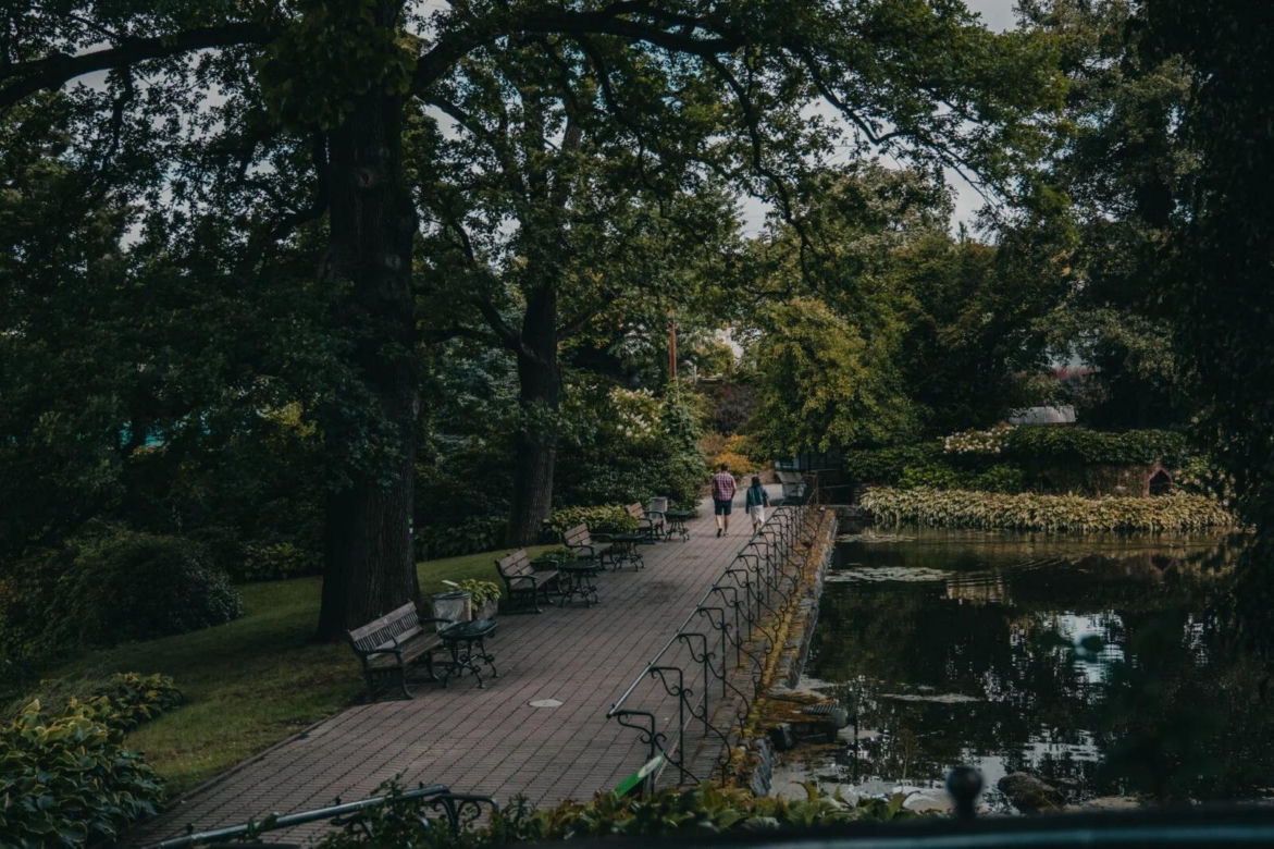 Arboretum Wojsławice pod Wrocławiem