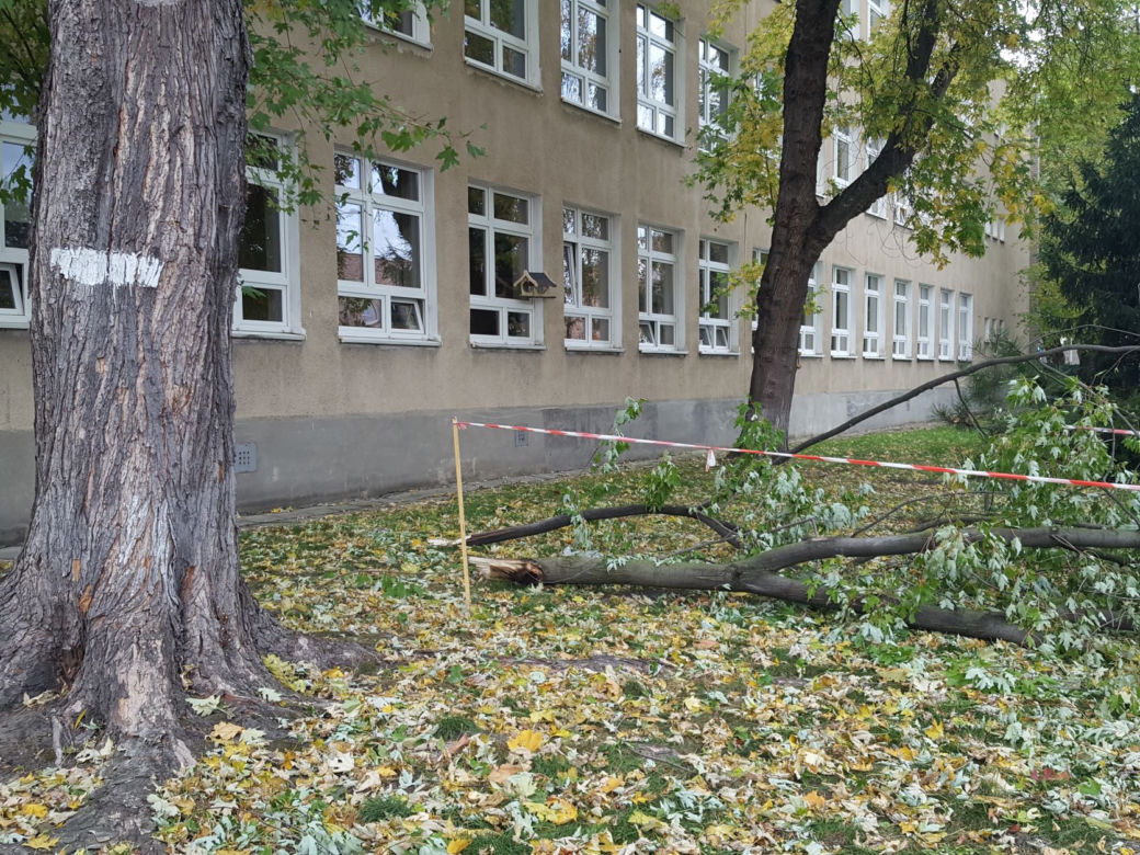 Strażacy (i piły) na pełnych obrotach