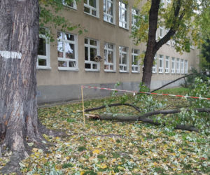 Strażacy (i piły) na pełnych obrotach