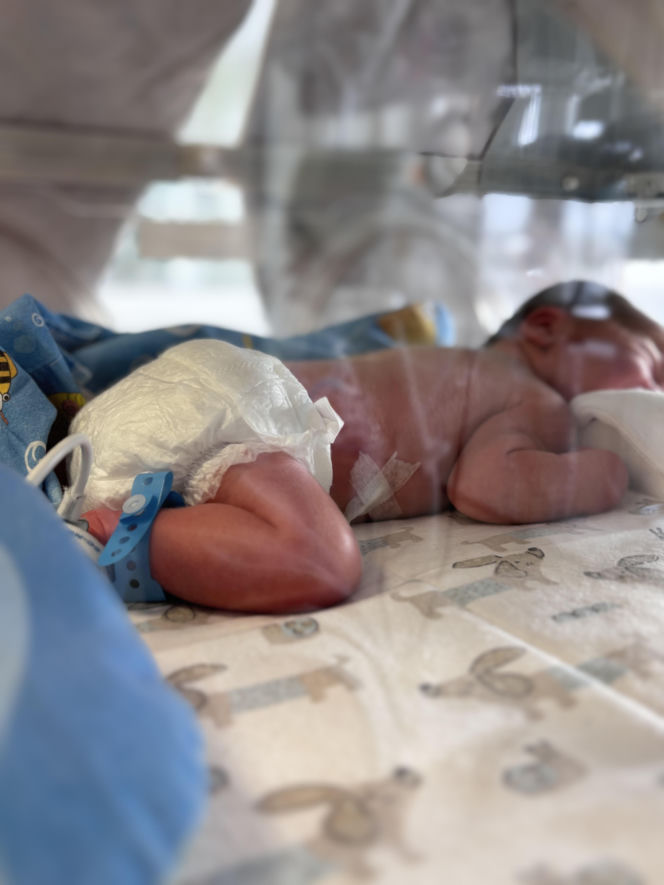 W WSS Olsztyn przyszły na świat trojaczki