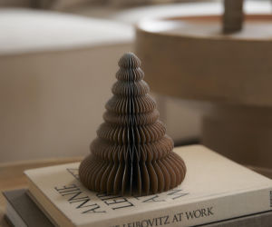 Wyprzedają się na pniu! Te choinki to hit tegorocznych świąt. Gdzie je kupić?