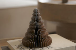 Wyprzedają się na pniu! Te choinki to hit tegorocznych świąt. Gdzie je kupić?