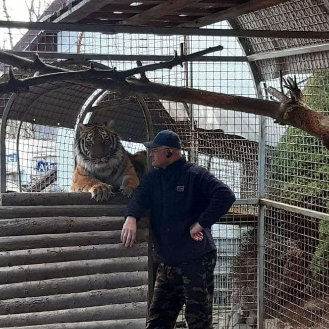 Mieszka z lwami odrzuconymi przez matkę i tygrysem. Usłyszał prokuratorskie zarzuty