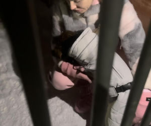 Doda ratuje psy przed mrozem