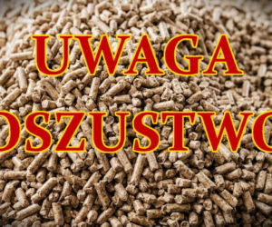Uwaga na zakupach w sieci. Tam też są oszuści i złodzieje!