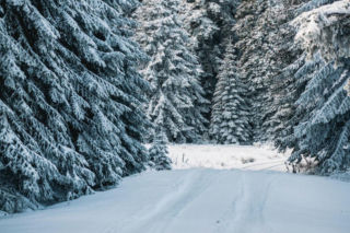 Zima w najbliższych dniach nie odpuści. IMGW prognozuje mróz, śnieg i silny wiatr