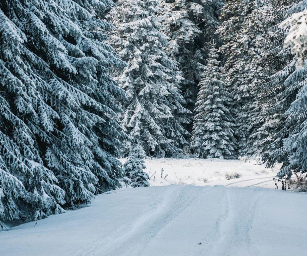 Zima w najbliższych dniach nie odpuści. IMGW prognozuje mróz, śnieg i silny wiatr