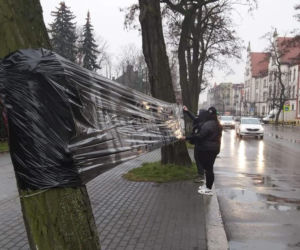 Kibicki Górnika Zabrze zrobiły świąteczną niespodziankę małym pacjentom z miejskigo szpitala. Piękny gest! [ZDJĘCIA]