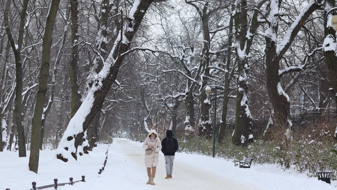 Wszędzie jest biało! Ogród Saski w Lublinie wygląda jak w bajkach Andersena [GALERIA]