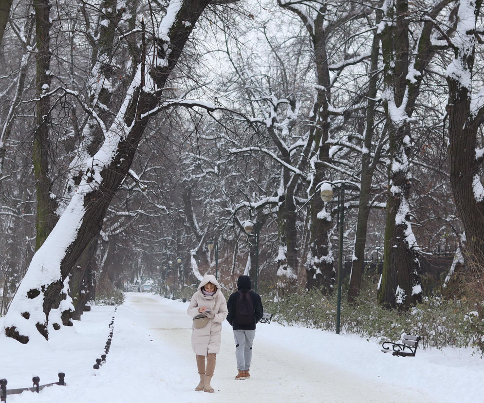 Wszędzie jest biało! Ogród Saski w Lublinie wygląda jak w bajkach Andersena [GALERIA]
