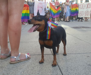 Protest w obronie Margot w Bydgoszczy