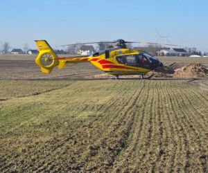 Krowa zaatakowała kobietę! Na miejscu lądował śmigłowiec LPR