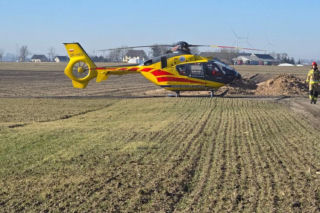 Krowa zaatakowała kobietę! Na miejscu lądował śmigłowiec LPR