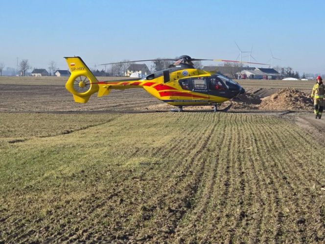 Krowa zaatakowała kobietę! Na miejscu lądował śmigłowiec LPR