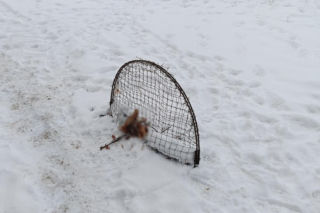 Policja rozbiła grupę złodziei bydła. Pięciu mężczyzn z zarzutami