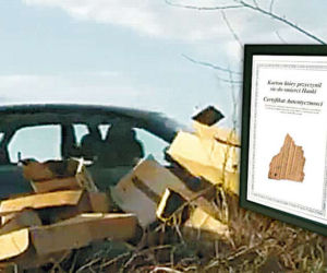 Żerują na śmierci Hanki Mostowiak