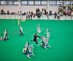 Konie, emocje i rywalizacja w sercu Wielkopolski! Rusza Perlage CAVALIADA Tour