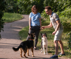 Na Wspólnej odc. 2960. Joanna Berg (Anna Cieślak), Karol (Tomasz Nosiński)