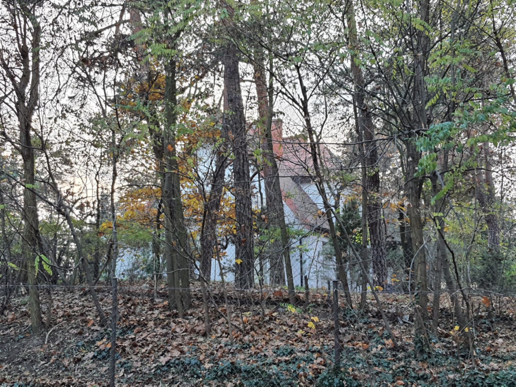 Tak mieszka Łukasz Szumowski
