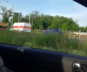 Tak wysokich chwastów przy drogach w Lesznie dawno nie oglądaliśmy