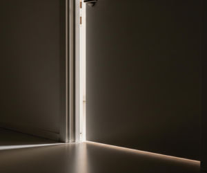 Zastrzelona papuga w Krakowie. Co zdradziła szokująca kartka od sąsiadów?