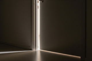 Zastrzelona papuga w Krakowie. Co zdradziła szokująca kartka od sąsiadów?