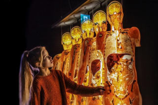 Body Worlds