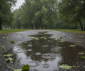 Weekend w Opolu z deszczowym zwrotem akcji. Jeden dzień mocno namiesza w pogodzie