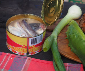 Fermentowany śledź Surströmming