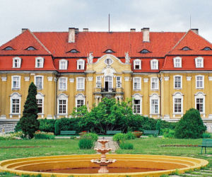 Kochcice