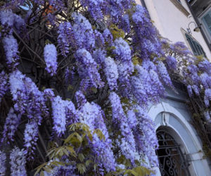 Włoskie wakacje Kwaśniewskich