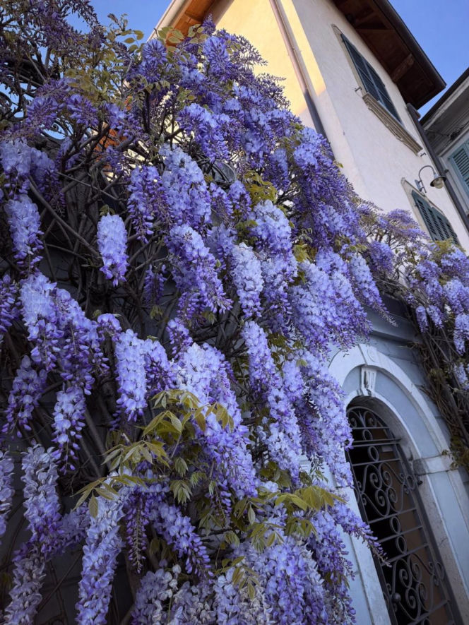 Włoskie wakacje Kwaśniewskich