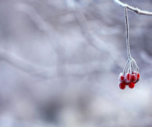 Kolejne regiony pod śniegiem! IMGW ostrzega przed trudnymi warunkami na drogach